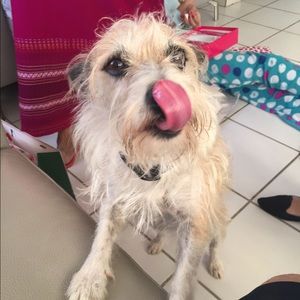 Meet your Posher, Nadia